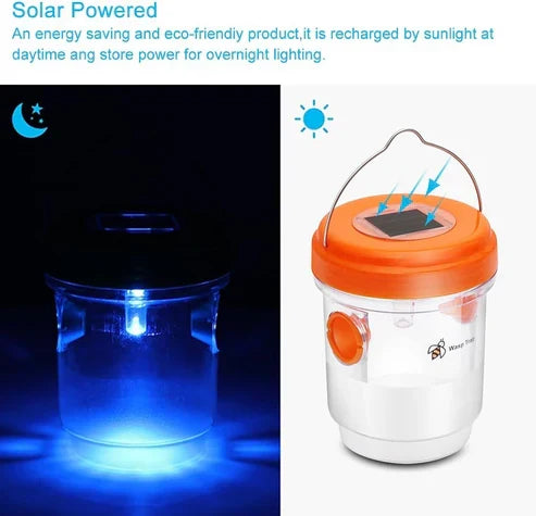 Solar-Powered Wasp Trap