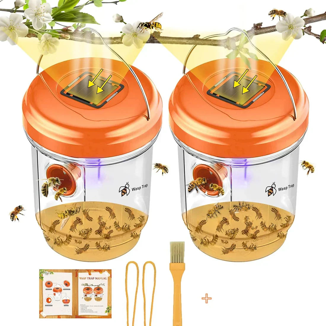 Solar-Powered Wasp Trap